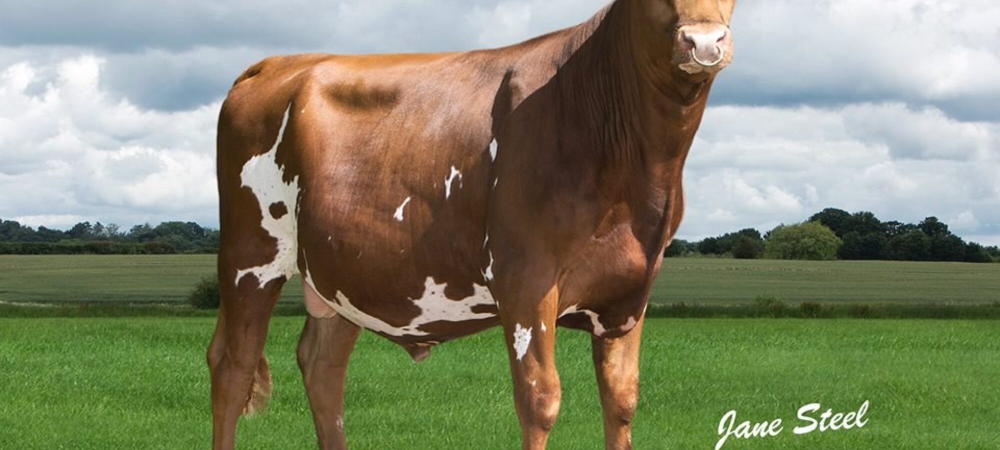 Hunnington Famous now classified EX94
