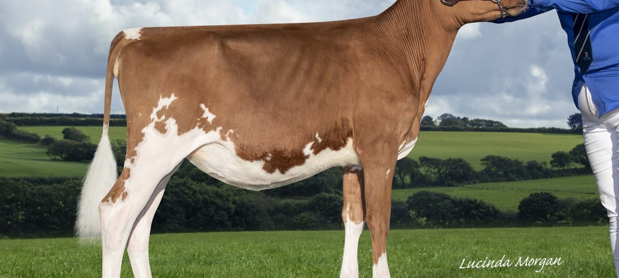 Champion - Creech Hill Rebel Zara