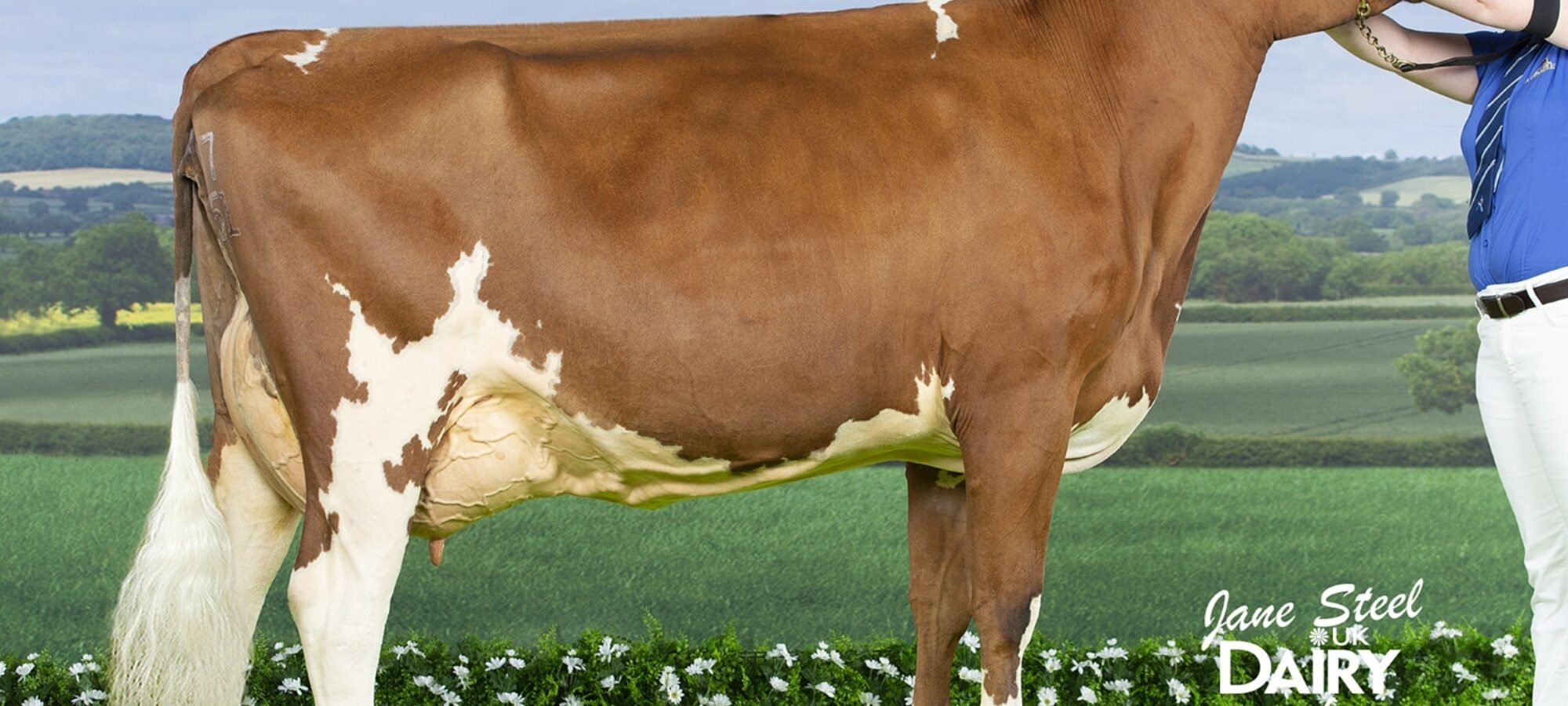 Whitecroft Emmie 150 - sired by Whitecroft Panell