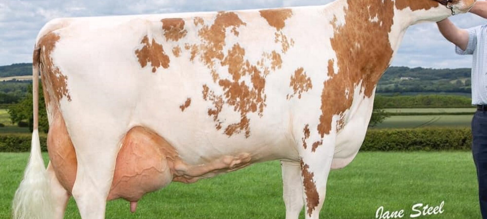 The dam of Moathouse Monopoly - Pylon Minty 12 EX95