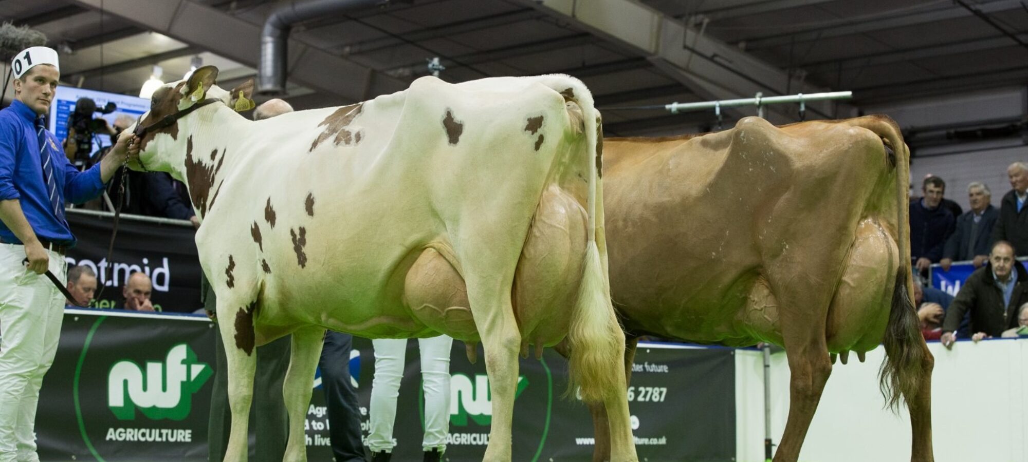 Agriscot 2016 winners