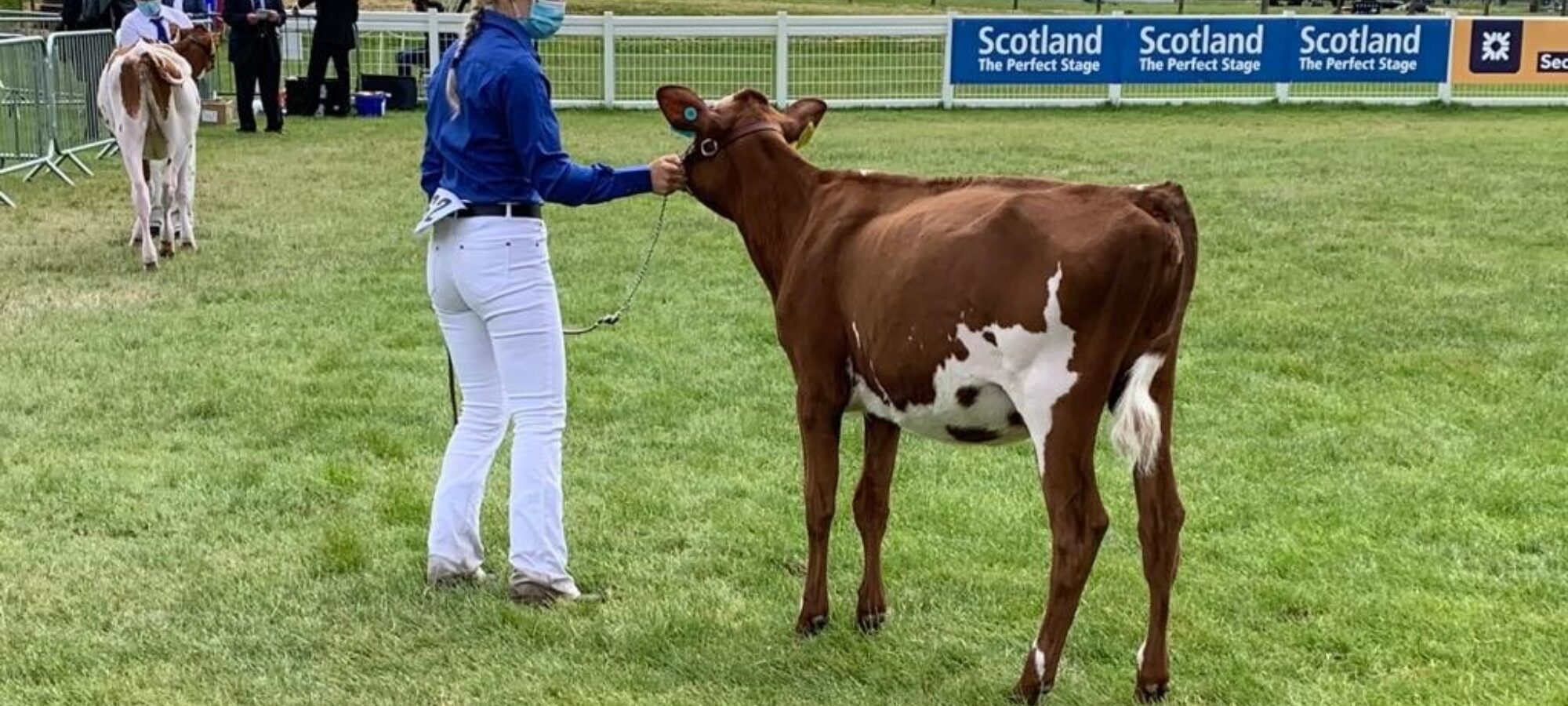Alison Hunter with Brieryside Rubicom Pear, the highest place Ayrshire in the coloured breeds class