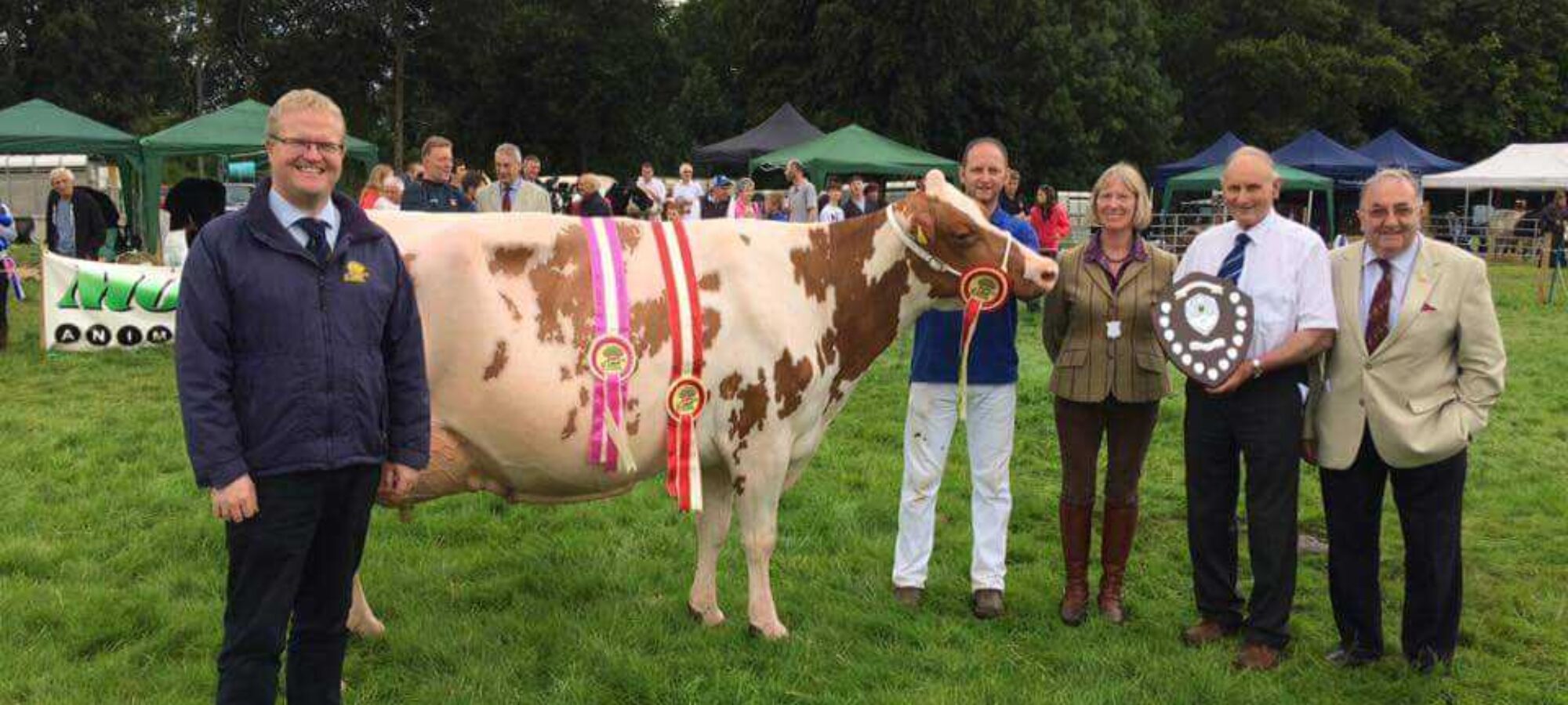 Sandyford Honest Blizzard - The McLarnon Championship winner