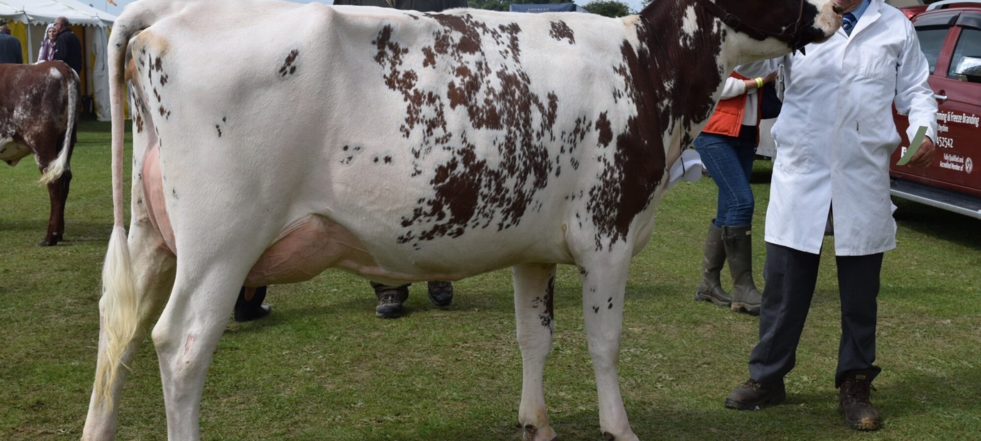 Bigginvale Buttermilk