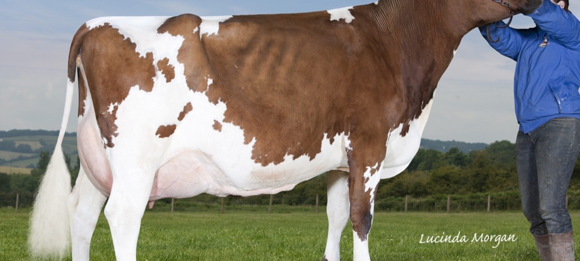 Bigginvale Molly 5 - Daughter Of Bigginvale Destination