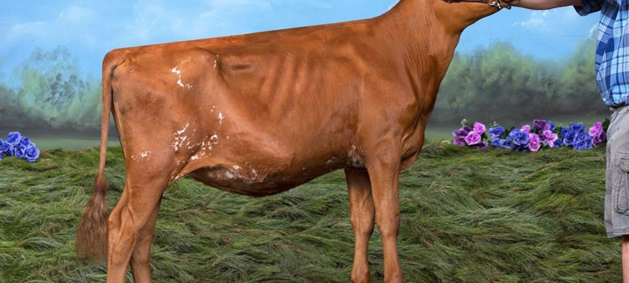 Boldview Fam Fatalle - sired by Hunnington Famous