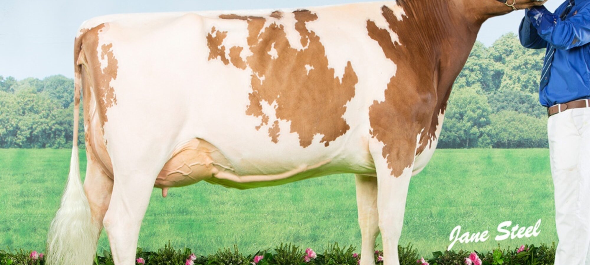 Bruchag Talent Evelyn VG 88