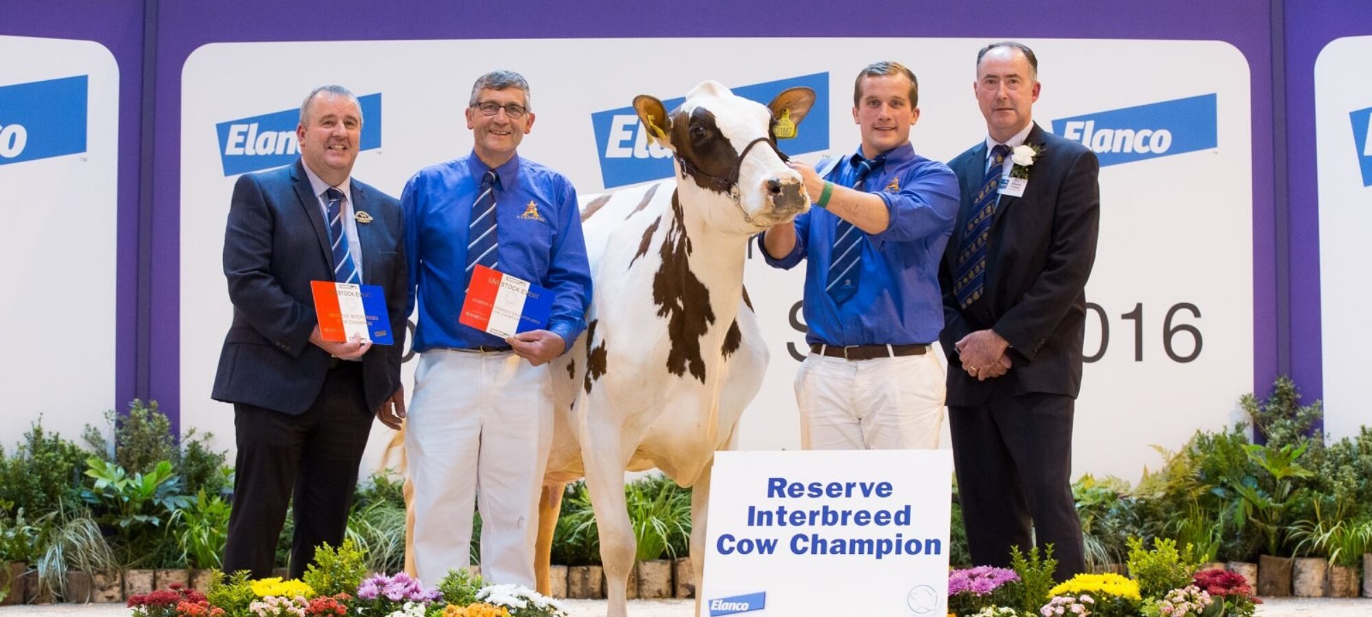 Arthur & James Lawrie with Society president Gilmour Lawrie and Interbreed judge Ashley Fleming