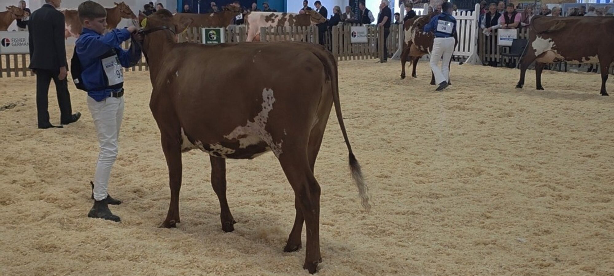 Butterbesley Calcutta Prospect