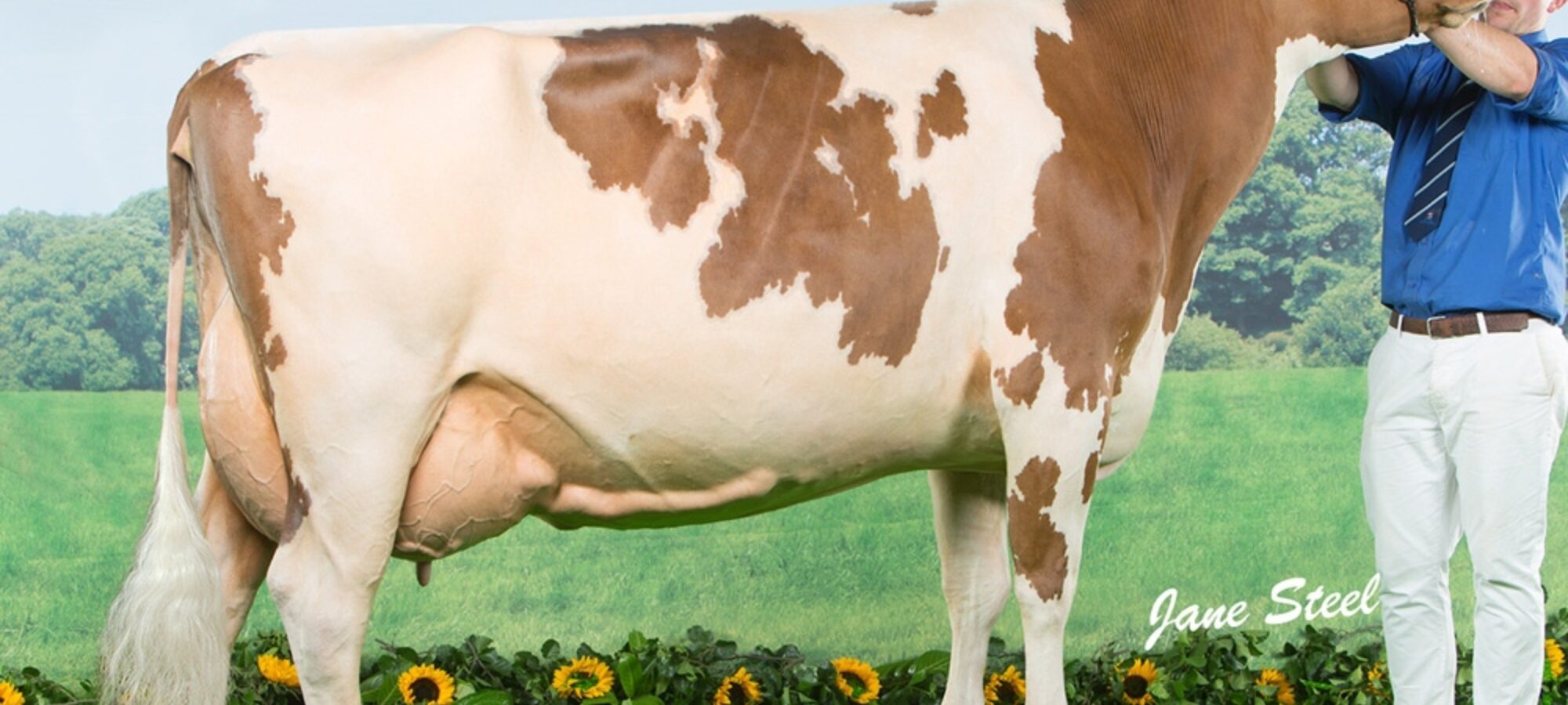 Cuthill Towers Radar Ray 13 EX 93