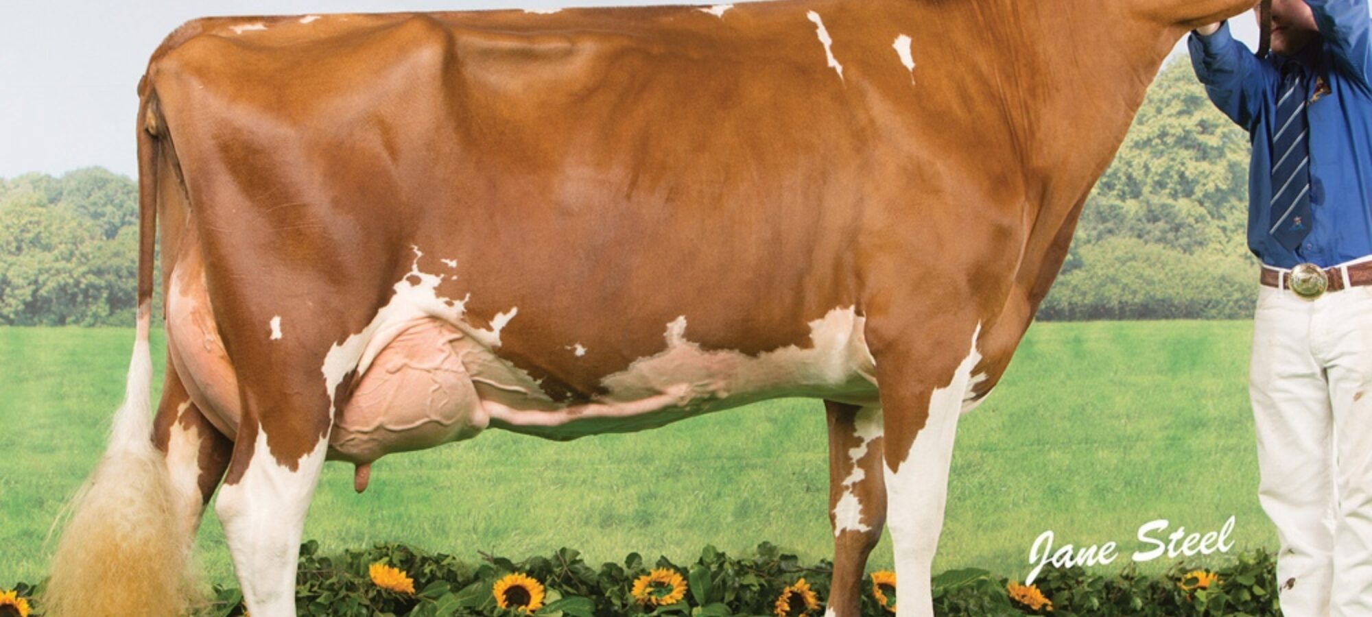 Hunnington Fragy 16 VG 89