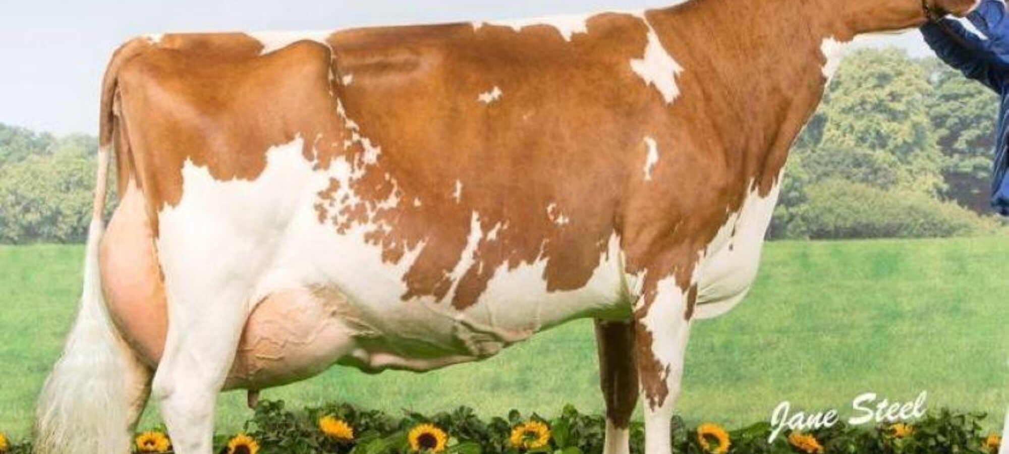 Hunnington Fragy 12 EX97 8E LP100
