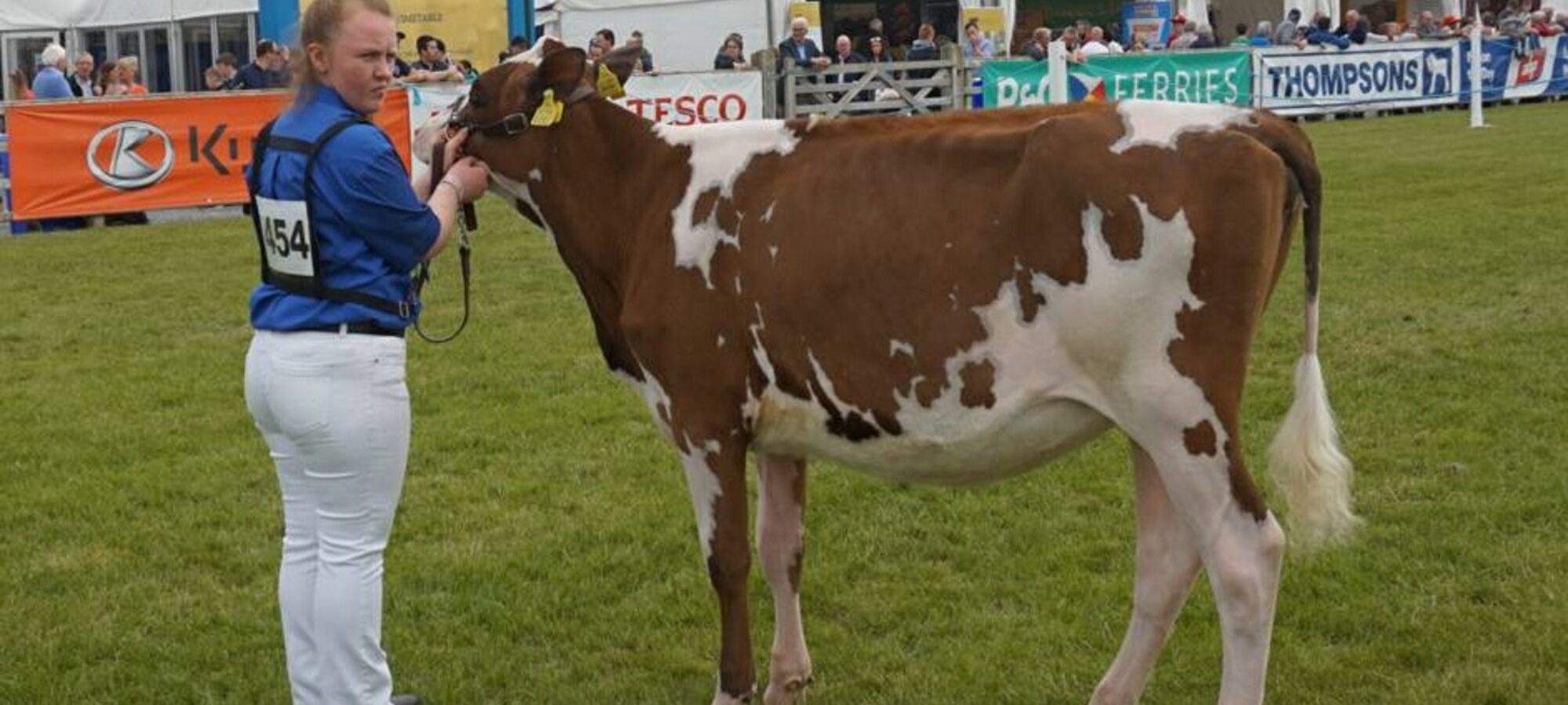 Threemile Mandella Pam - Sired by Hunnington Mandella