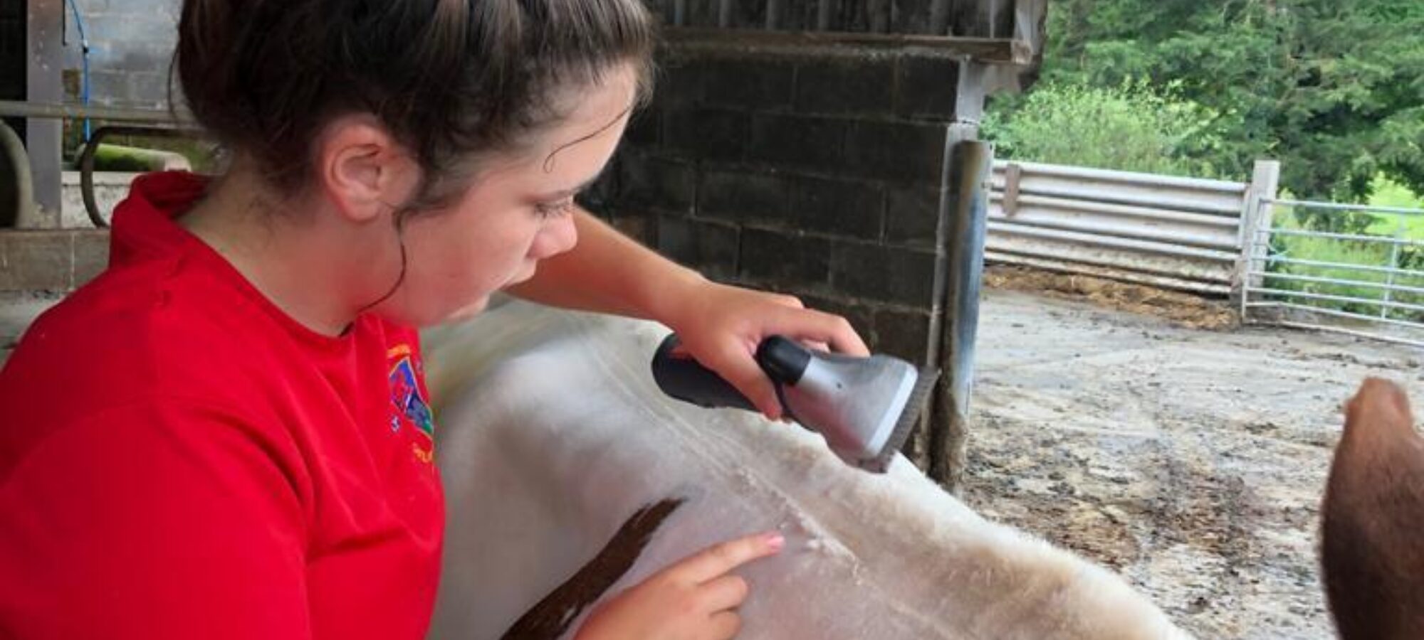 Beca doing her final clip to Gilwen Roselinda 2