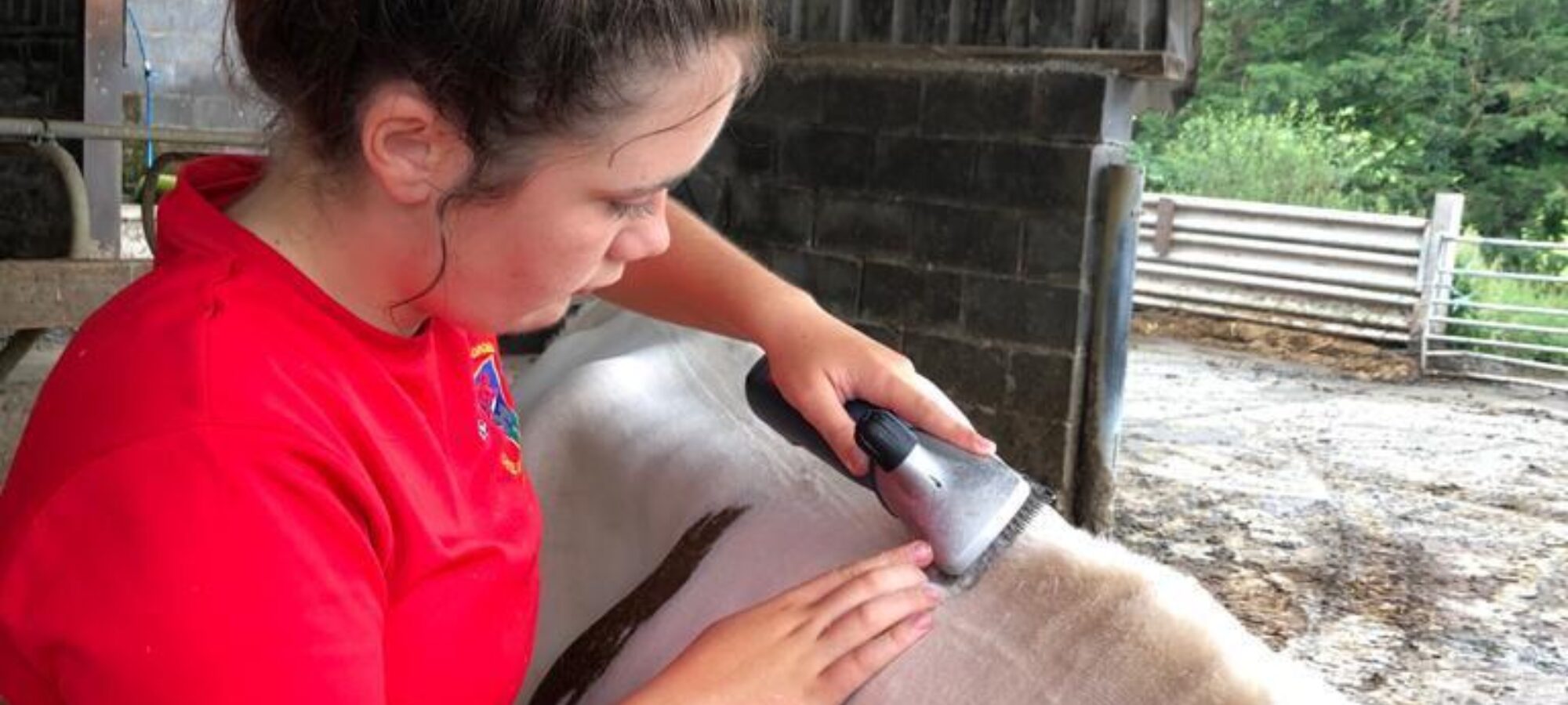 Beca doing her final clip to Gilwen Roselinda 2