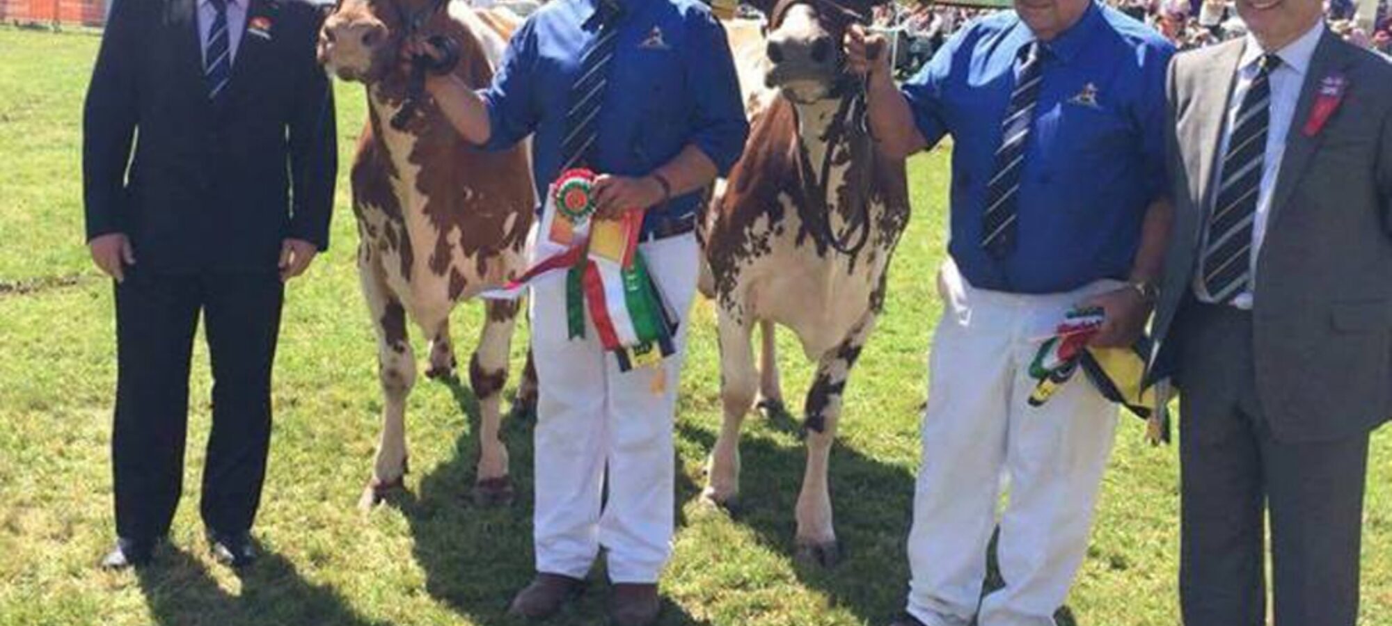 P & S Williams with their Interbreed Pair winners