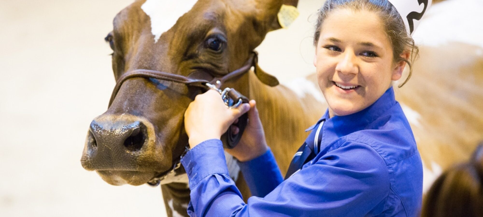 Our Ayrshire Young Breeders Will Do A Superb Job Preparing & Showing Your Cows