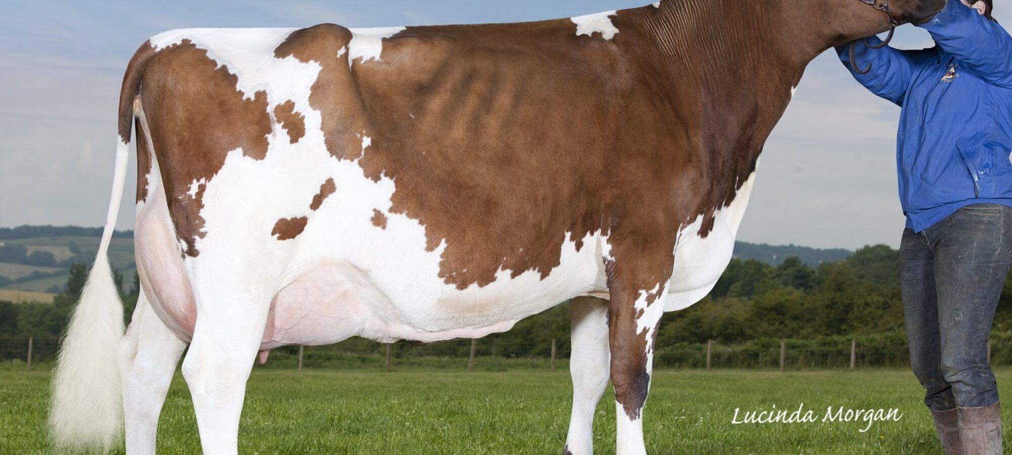 Bigginvale Molly 5 - Daughter Of Bigginvale Destination