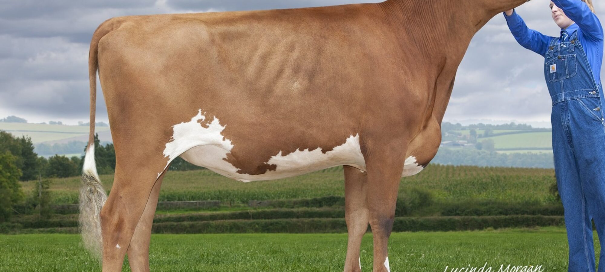Butterbesley Lieu Hillary sired by Halmyre Urr Lieutenant
