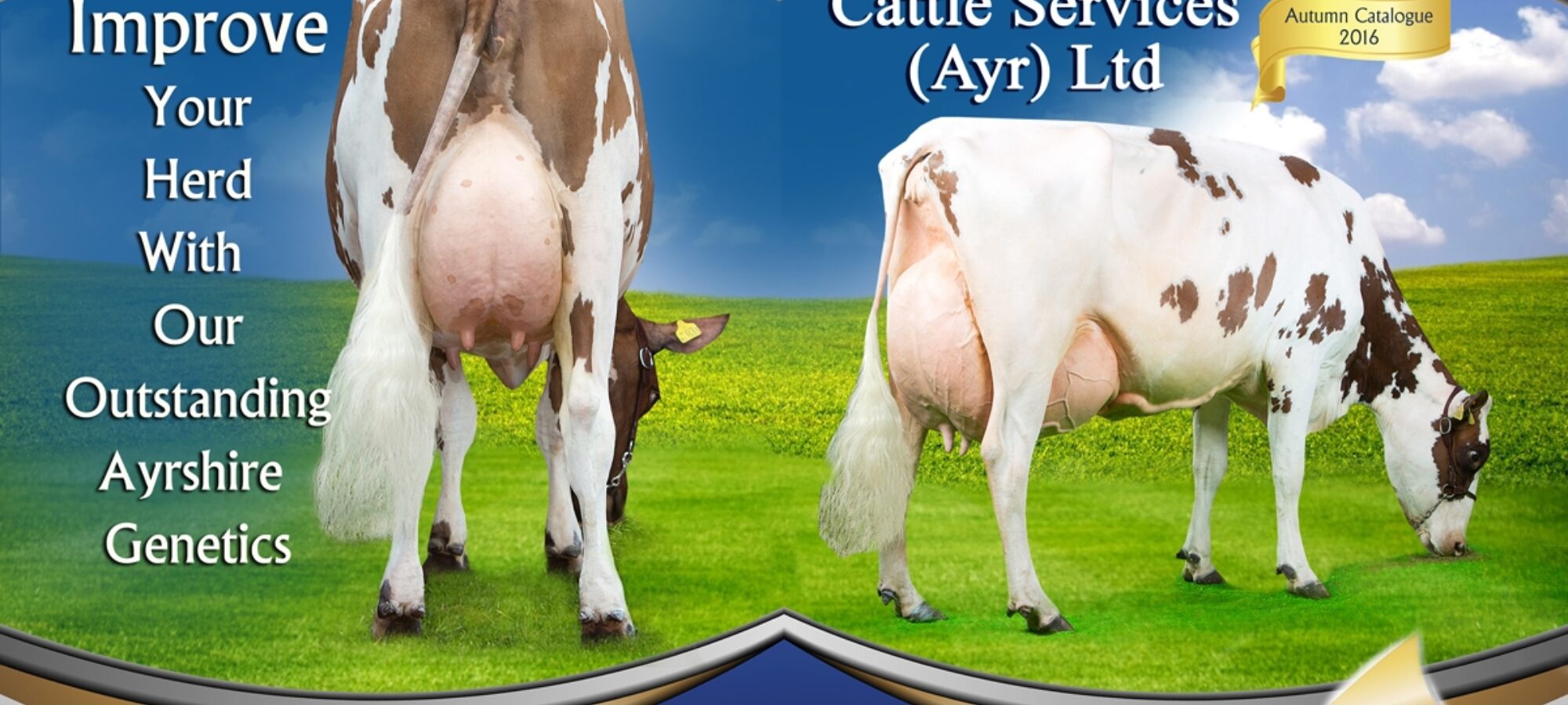New Catalogue