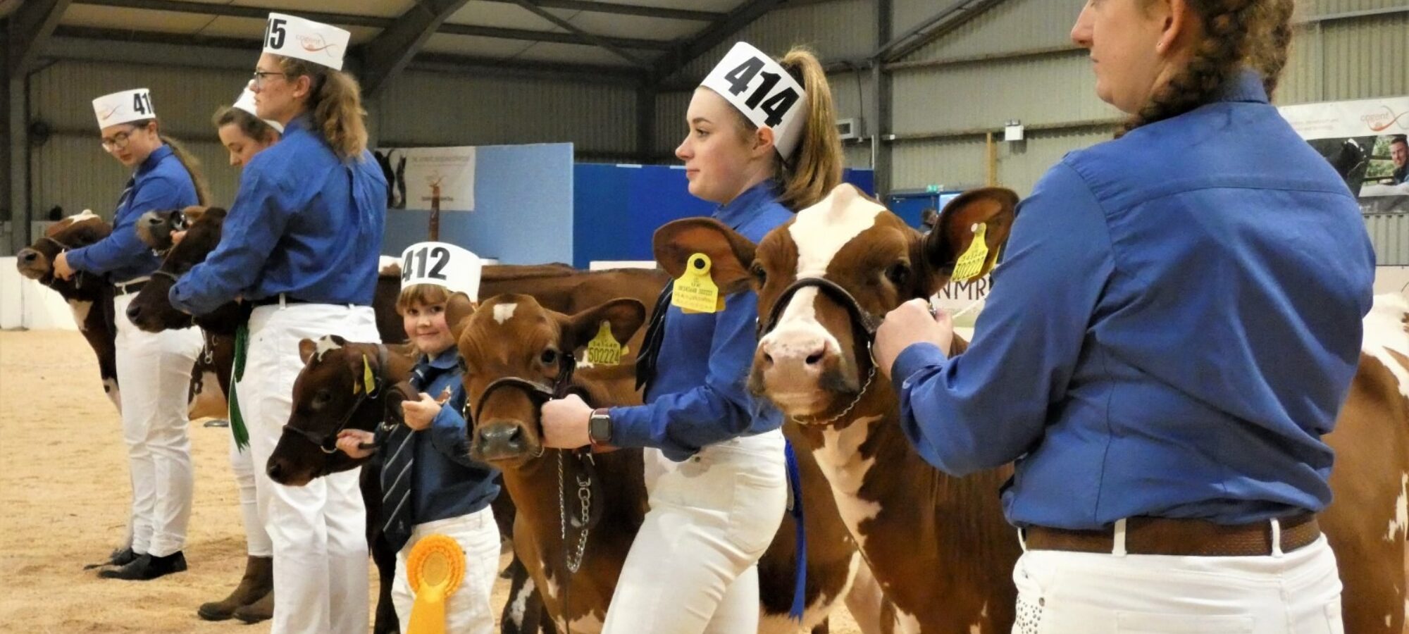 ABAB Calf Show 2021