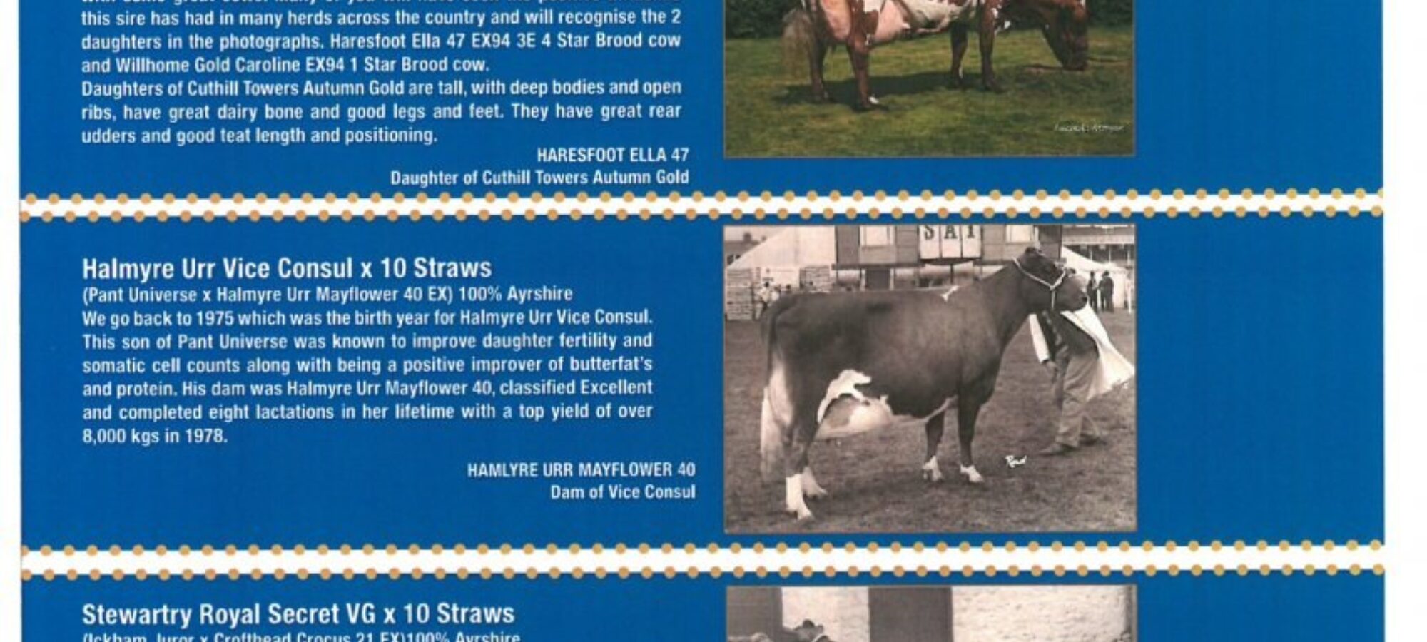Semen packages for sale