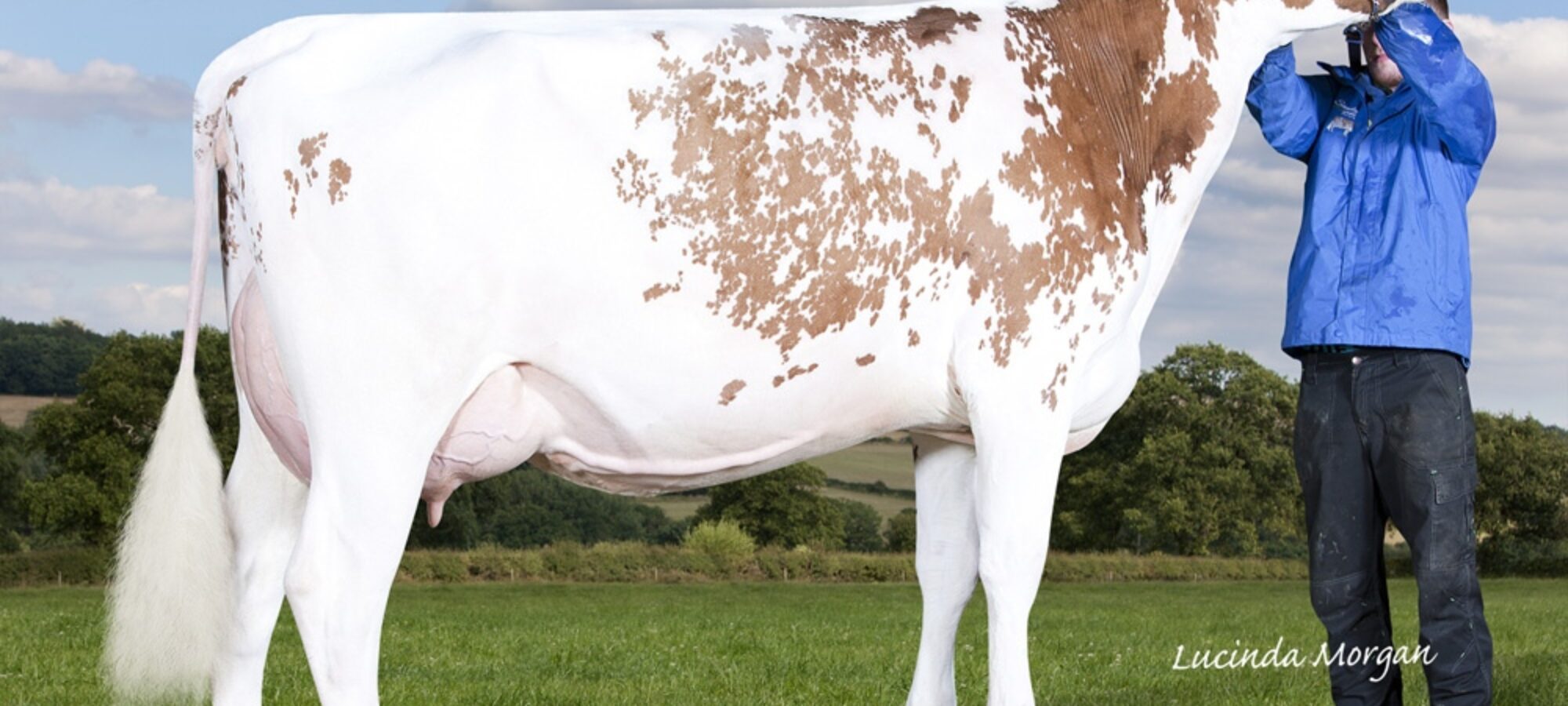 Daughter of Brocklehill Kestral - Sandyford Kestral Marsela VG 85