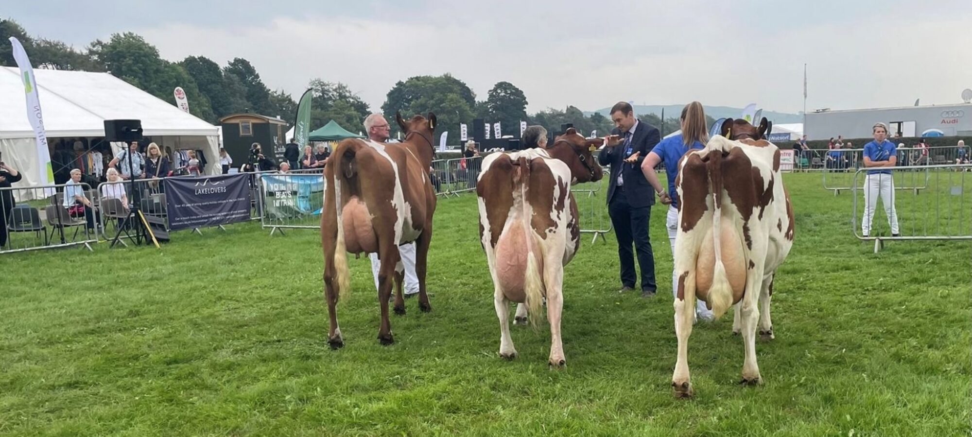 Champion Line Up