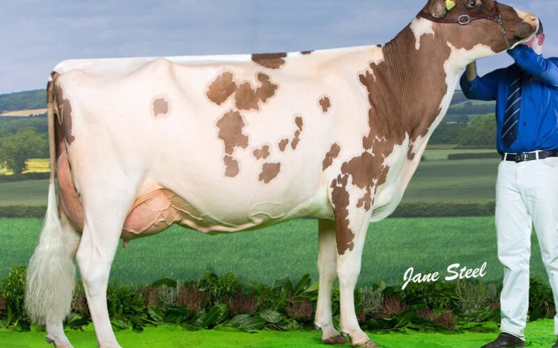 Just one of the competitors in the competition