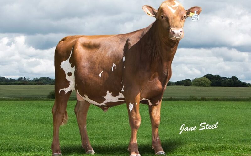 Hunnington Famous now classified EX94
