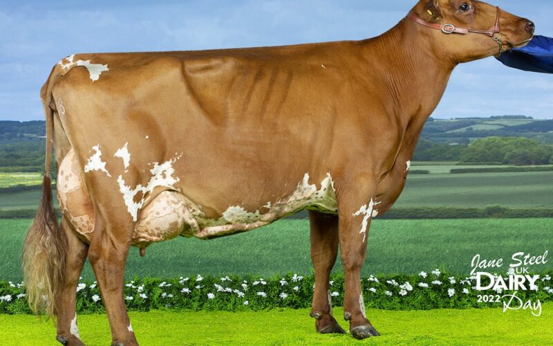 Morwick Reality Emerald