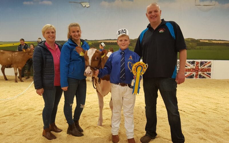 Breed Champion Kirkinriola PCB Joy (Palmyra Calimero Blackjack) M King