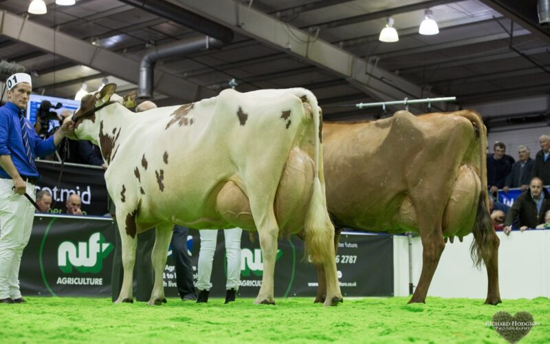 Agriscot 2016 winners