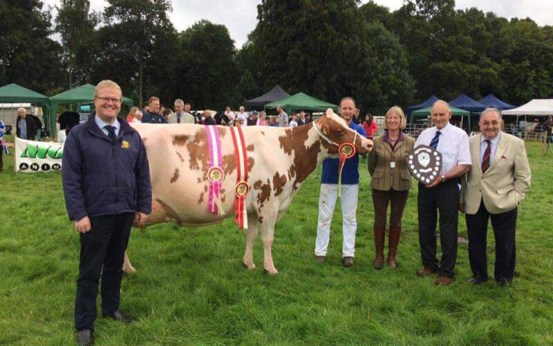 Sandyford Honest Blizzard - The McLarnon Championship winner