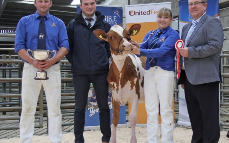 Supreme Champion - Ardmore Triclo Honesty, Michael & Claire Hunter