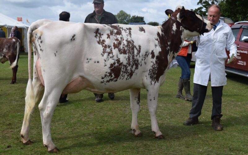 Bigginvale Buttermilk