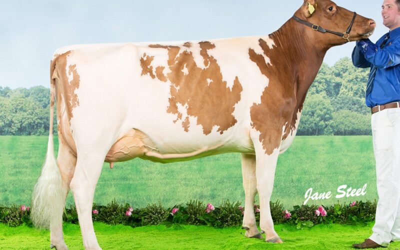 Bruchag Talent Evelyn VG 88