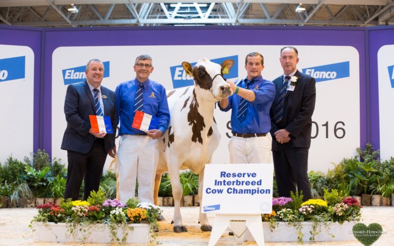 Arthur & James Lawrie with Society president Gilmour Lawrie and Interbreed judge Ashley Fleming
