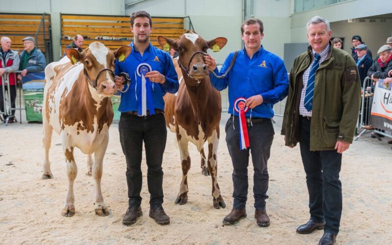 Champion & Reserve from Cuthill Towers