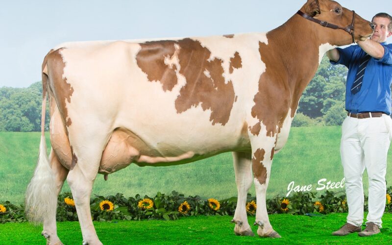 Cuthill Towers Radar Ray 13 EX 93