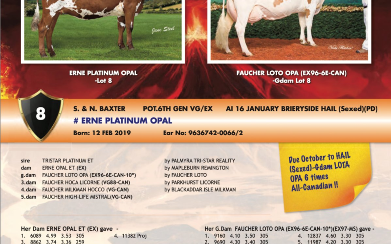 Lot 8 in the Summer Sizzler Sale Erne Platinum Opal