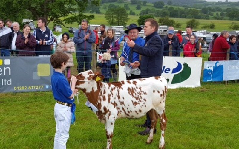 Reserve Champion Handler