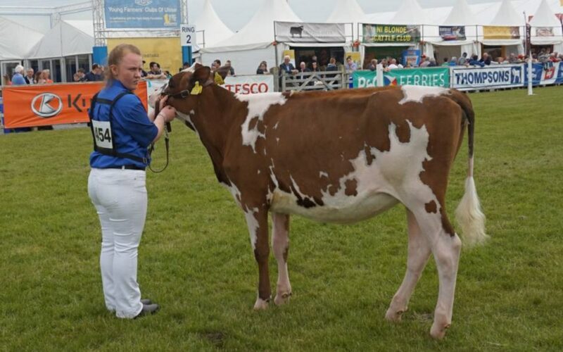 Threemile Mandella Pam - Sired by Hunnington Mandella