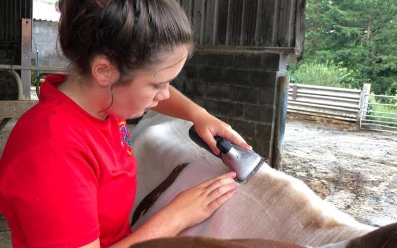 Beca doing her final clip to Gilwen Roselinda 2