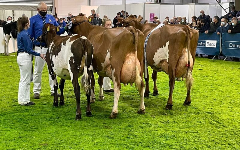The Ayrshire Championship Line up
