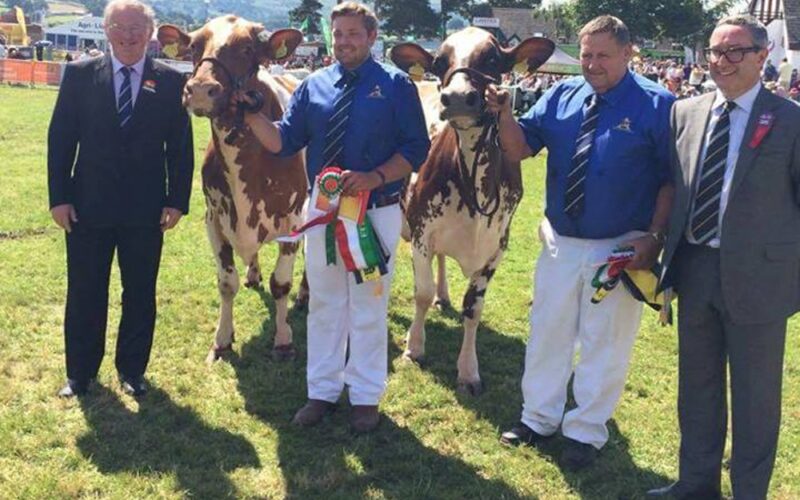 P & S Williams with their Interbreed Pair winners