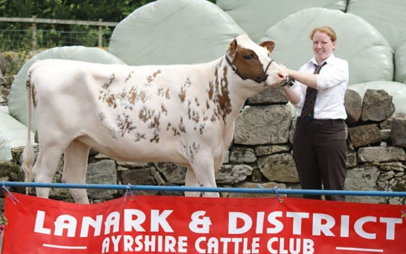 Champion Handler & First Prize Senior Handler - Gillian Rankin