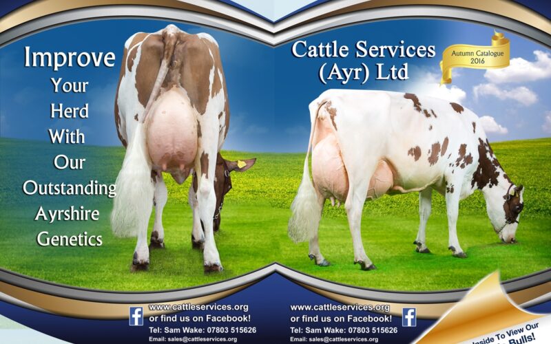 New Catalogue
