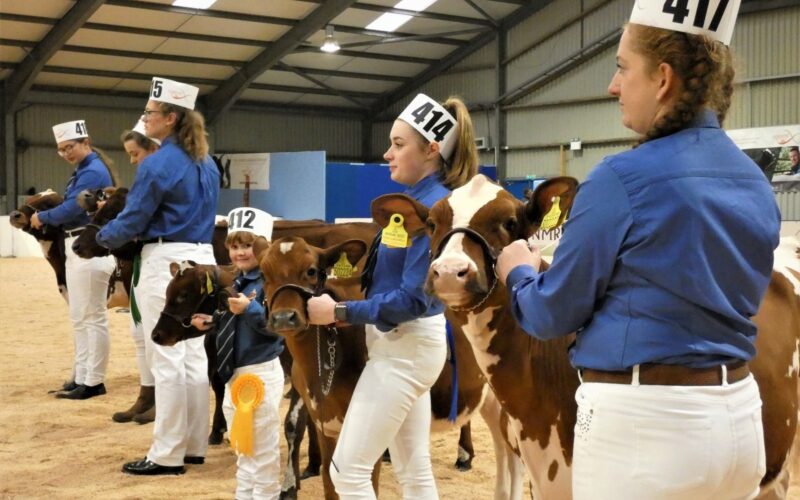 ABAB Calf Show 2021
