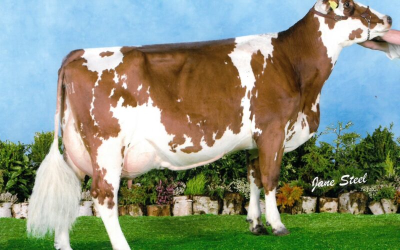 Dam of Victory Ravenhill Ethel 350